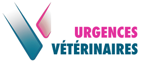 VETERINAIRE de GARDE LYON | Domicile et Clinique VETERINAIRE de GARDE LYON | Domicile et Clinique